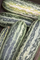 Marrow Vegetable Background