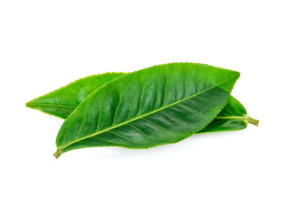 Fototapeta premium Green tea leaf isolated on white