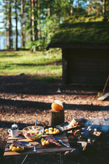 Dinner on the nature of the fire. Fish with potatoes and salad