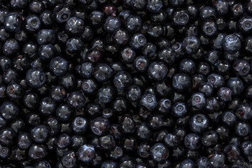 Blueberries Background./Blueberries Background