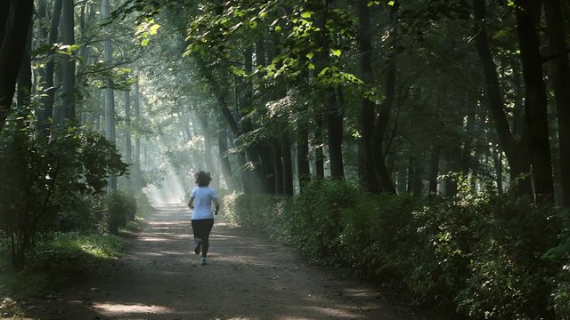 Woman running in the morning along walkway in the park in the slanting rays of the rising sun. Woman running in the morning along walkway in the misty summer forest.
