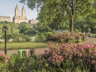 Naklejka premium Central Park, New York City