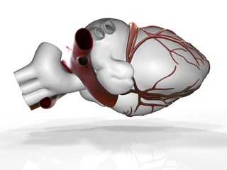 Fototapeta premium Model of artificial human heart 3d rendering
