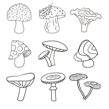 Set of beautiful cute cartoon contoured mushrooms