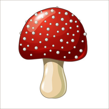 Cartoon coloured mushroom isolated on white background. Amanita.