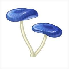 Cartoon contour mushroom isolated on white background.