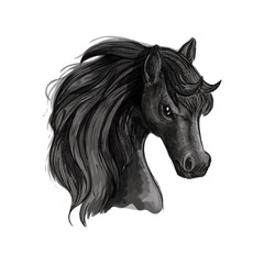 Black horse head sketch portrait