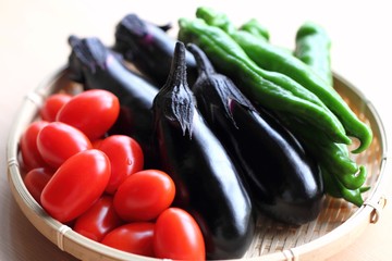 採れたて夏野菜の盛り合せ