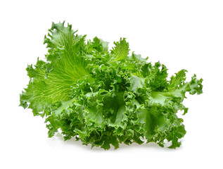 Obraz premium green frillies iceberg lettuce on white background