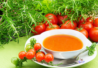 Tomatensuppe, frische Tomaten, Kräuter, Basilikum, Rosmarin, copy space