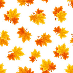 Vector seamless pattern with red, orange and yellow autumn maple leaves on a white background. 