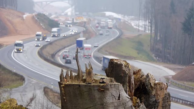 Waldrodung wegen Autobahnausbau
