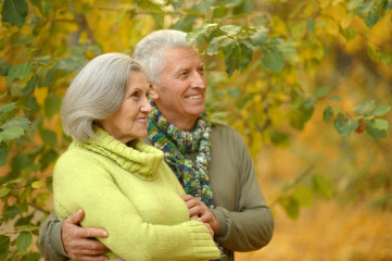 Senior couple in autumn park