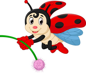 Fototapeta premium Ladybug cartoon 