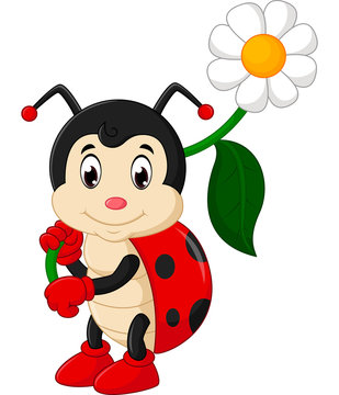 Ladybug Cartoon Images – Browse 32,116 Stock Photos, Vectors, and Video |  Adobe Stock