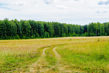 Fototapeta premium dirt road in the field