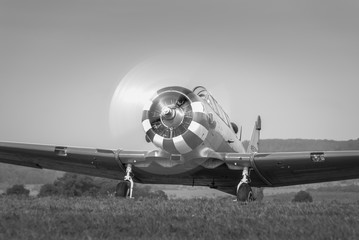 Fototapeta premium Warbird