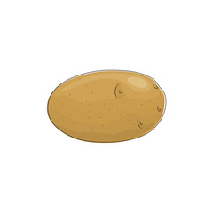 Potato Standing Isolated on White Background, Vegetables Praties, Edible Fruit, Vector Illustration