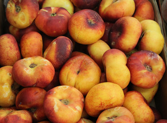 nectarines plates