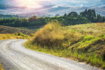 Very summer landscape