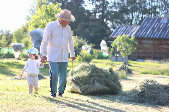 child and grandfather harvested hay