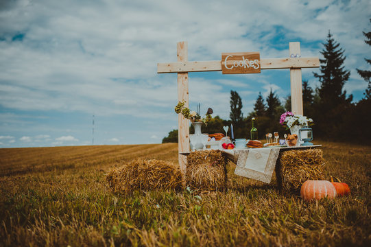 Field, A Makeshift Table Wine, Pumpkin, Autumn