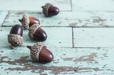 Acorn on vintage wooden background