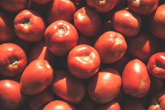 wyśmienite pomidory na przetwory