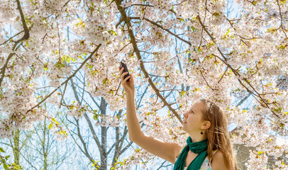Caucasian woman female young girl take measure record sound camera device sakura japan cherry tree bloom 
