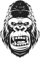 Vector illustration fierce gorilla head on white background