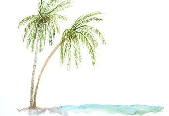 Fototapeta na wymiar Coconut tree on the beach, watercolor painting