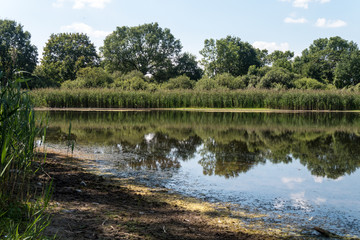 Idylle am Blakesee zwischen Ahrensfelde und Altlandsberg - Spiegelung im Wasser