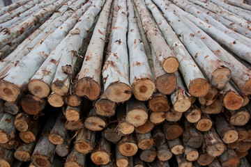 A pile of wood for construction, For background and texture.