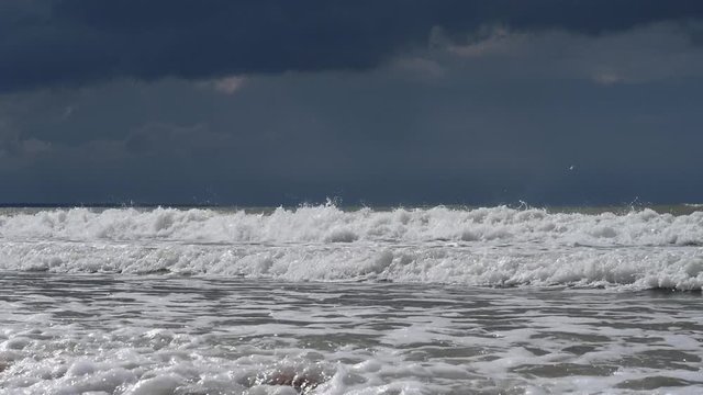 seagull flying over Stormy sea waves dark thunder cloud