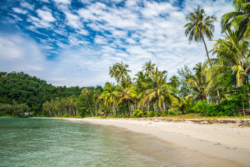 Obraz premium Beautiful tropical island beach summer holiday - Travel vacation concept.