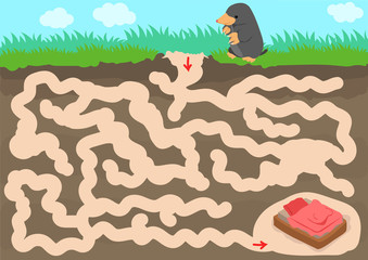 Vector maze game with find mole room in underground