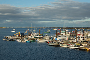 Fototapeta na wymiar Boats in Provincetown Harbor