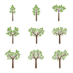 Set color Trees and Leafs. Vector Illustration.