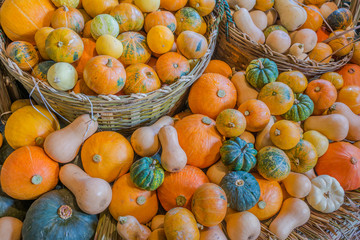 many of pumpkin decoration on the wall