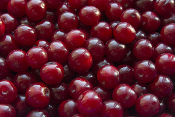 Вишнёвый фон. спелая сладкая органическая вишня.