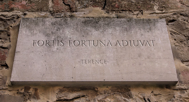 fortis Fortuna adiuvat. Literally The strong ones, Fortune helps. From Terence comedy play Phormio. Engraved text.
