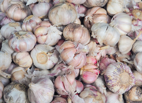 fresh garlic at the local farmers market