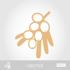 Branch of sea-buckthorn berries icon. Berry