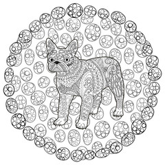 High detail patterned french bulldog.
