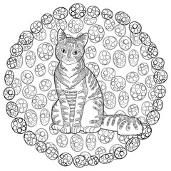High detail patterned cat.