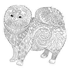 High detail patterned Pomeranian dog.