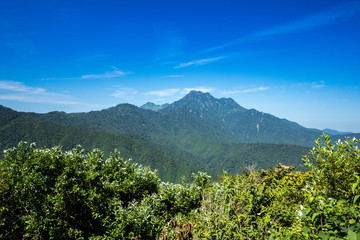 Fototapeta premium 瓶ヶ森林道から見た石鎚山