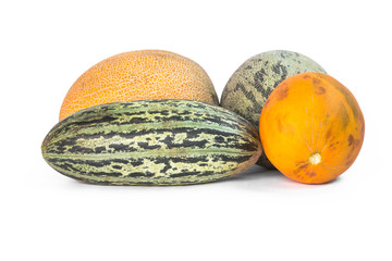 different varieties of melons