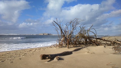 Érosion du littoral au portugal