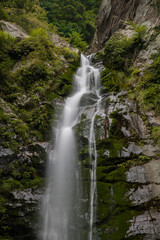 Fototapeta na wymiar 滝と新緑（愛媛県西条市銚子の滝）